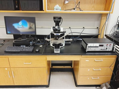 Cathodoluminescence Microscopy