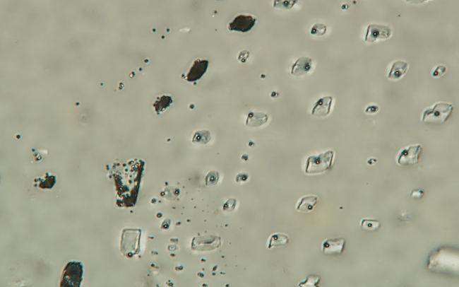 Critical Minerals in Mississippi Valley-type Mineralization featured image
