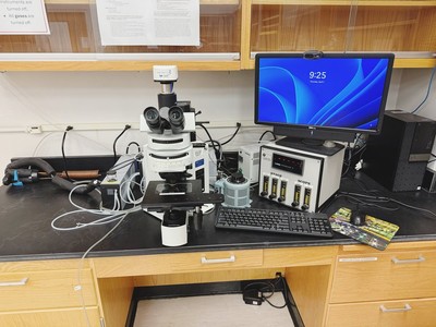 Fluid and Melt Inclusion Microthermometry