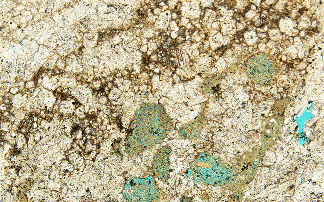 Ordovician Phosphate-bearing Carbonate Rocks featured image