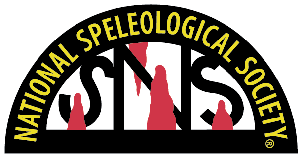 NSS Logo