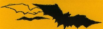 Nss Bat Conservation